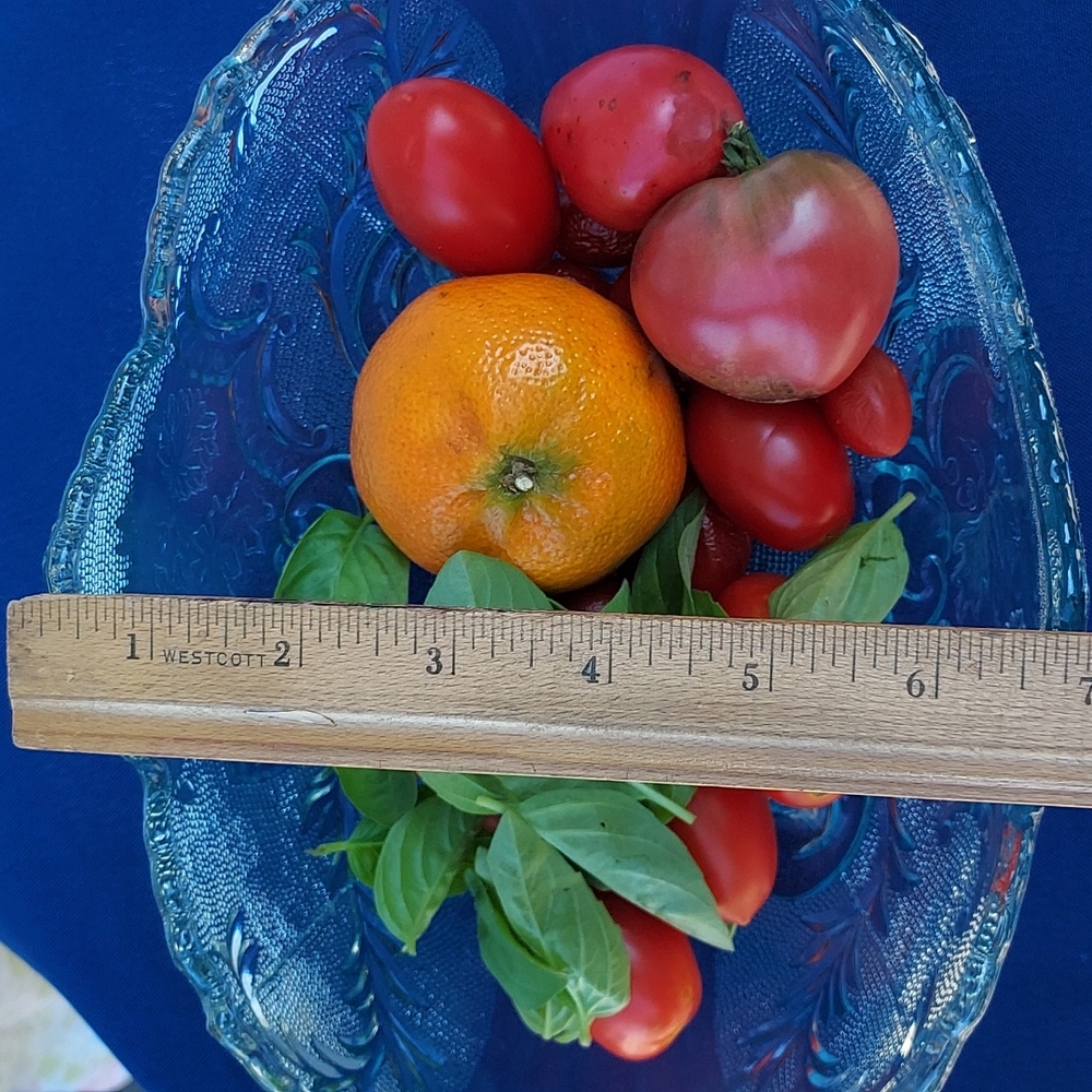Vintage Jeannette mid century Pressed Glass Blue Footed Hombre  Compote Bowl MCM - Picture 17 of 17